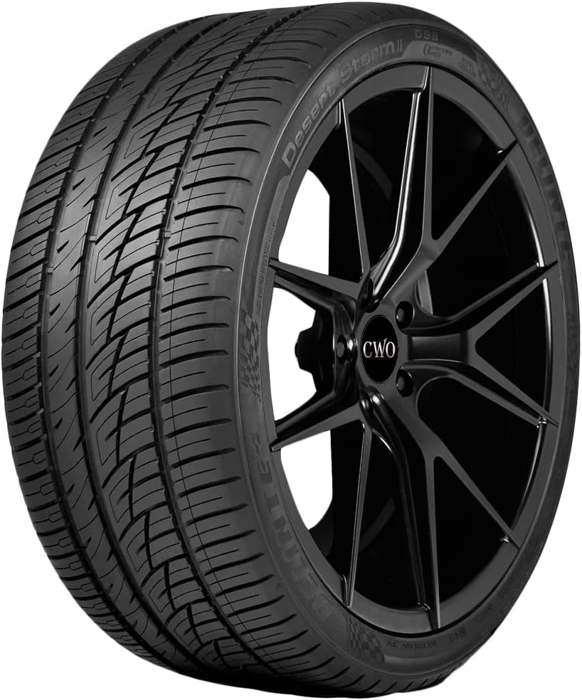 Delinte DS8 255/30R24XL 102W BSW