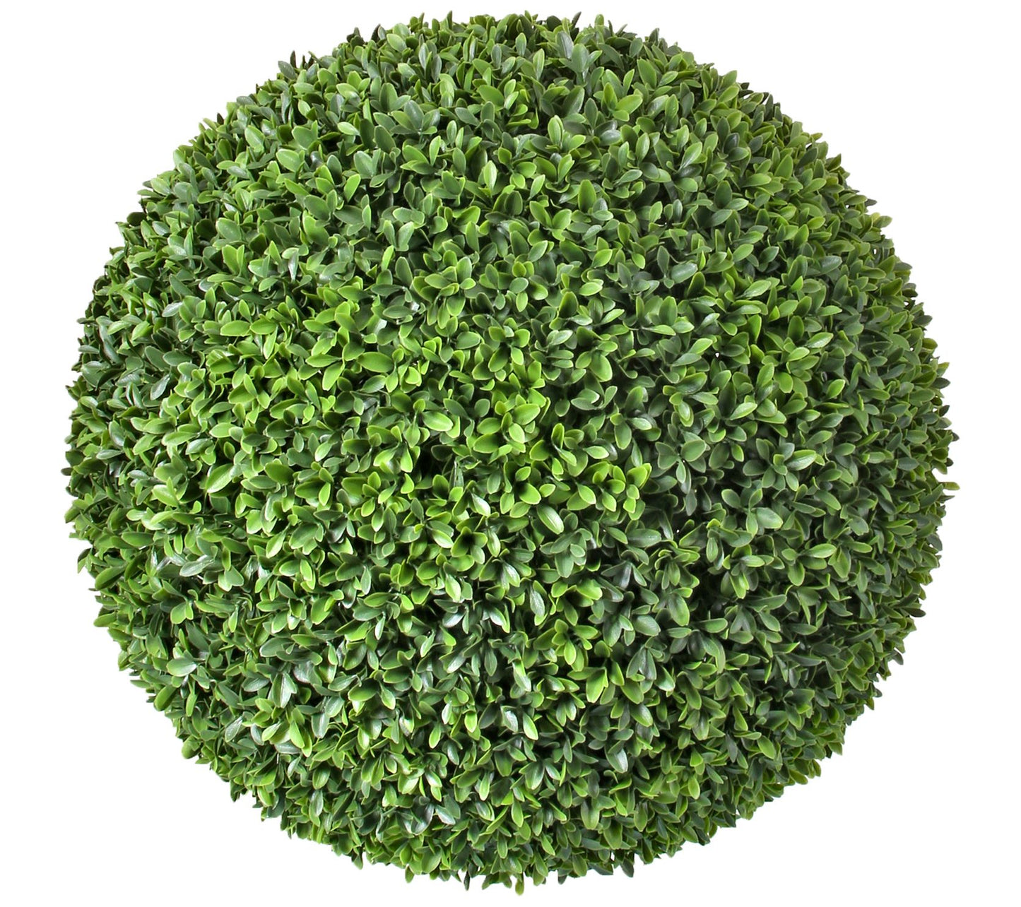 American Boxwood Ball 20" by Valerie