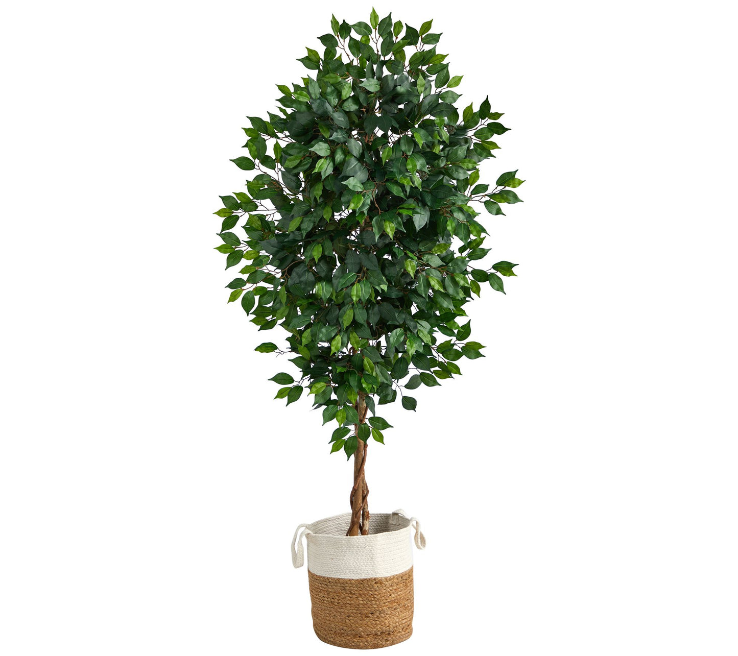 Nearly Natural 6' Ficus w/Natural Trunk in Planter