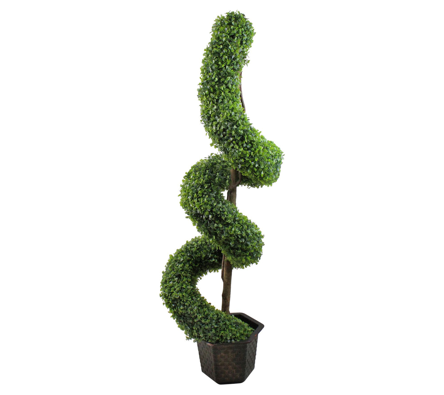 Northlight 56" Potted Two-Tone Boxwood Spiral Topiary Tree