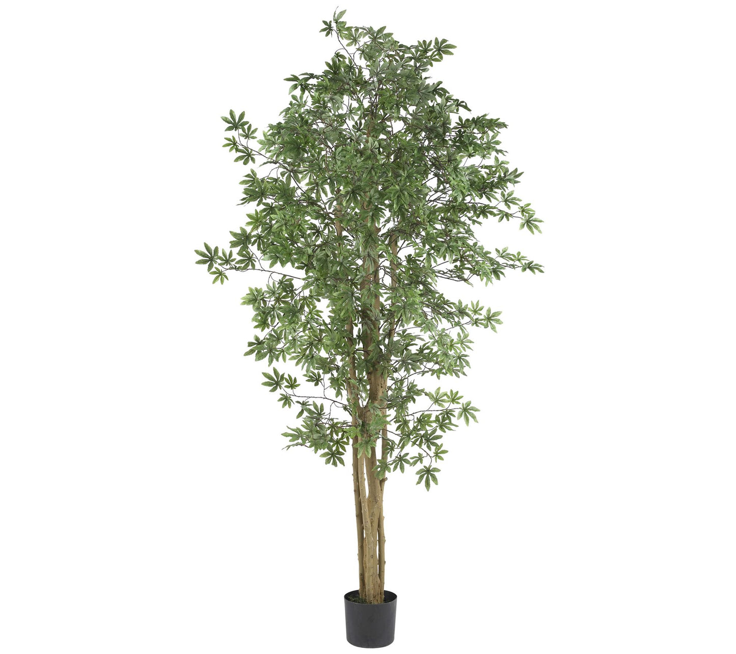 6' Japanese Maple Silk Tree by Nearly Natural