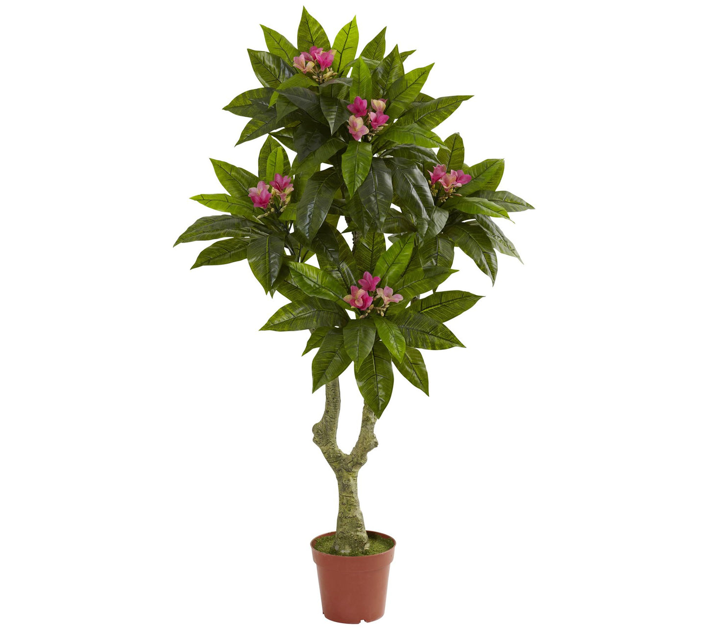 5' Plumeria Tree by Nearly Natural
