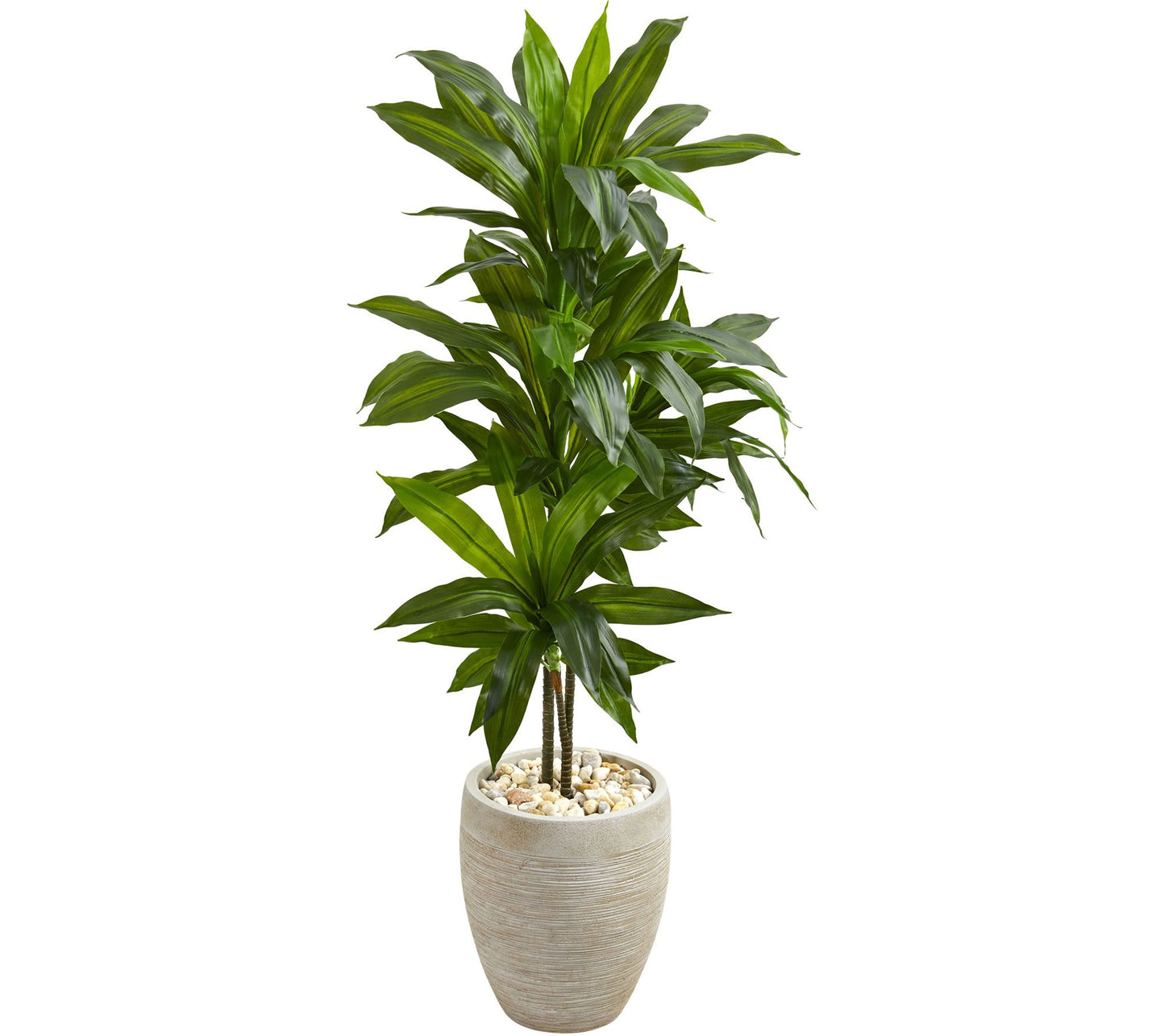 4' Dracaena Plant in Sand-Colored Planter by Nearly Natural