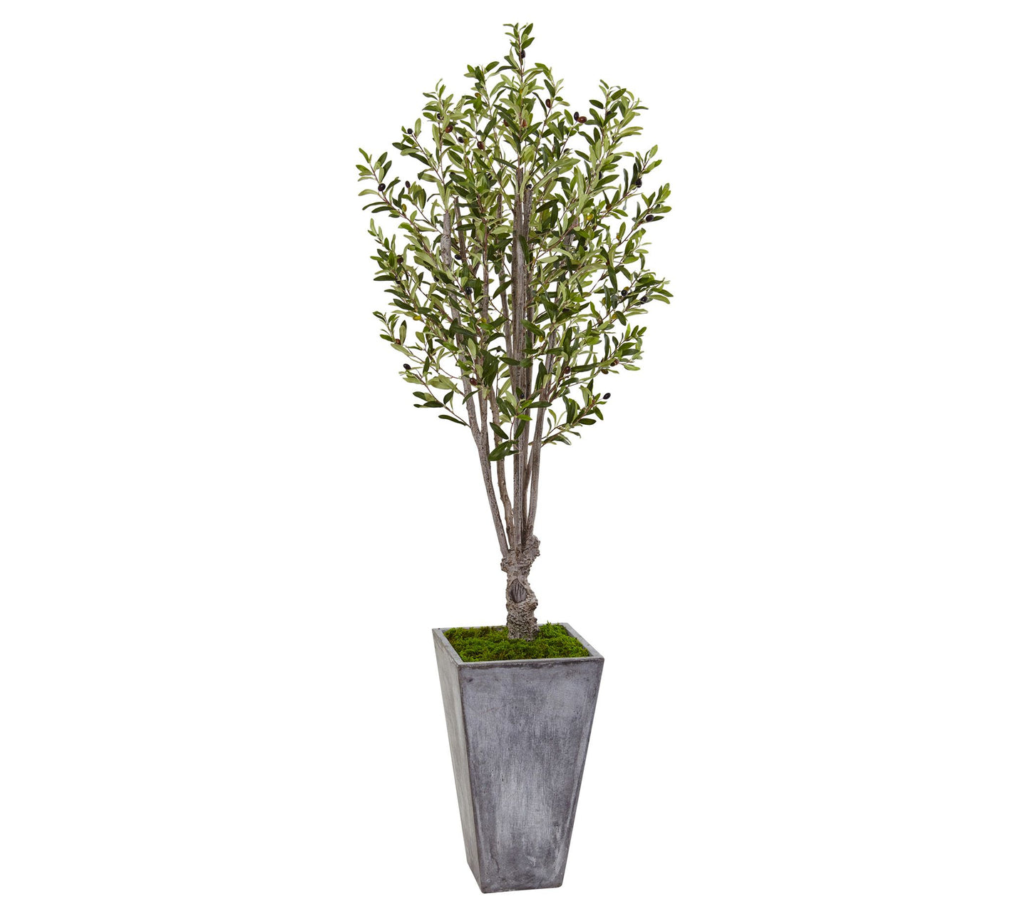 6' Olive Tree in Stone Planter by Nearly Natural