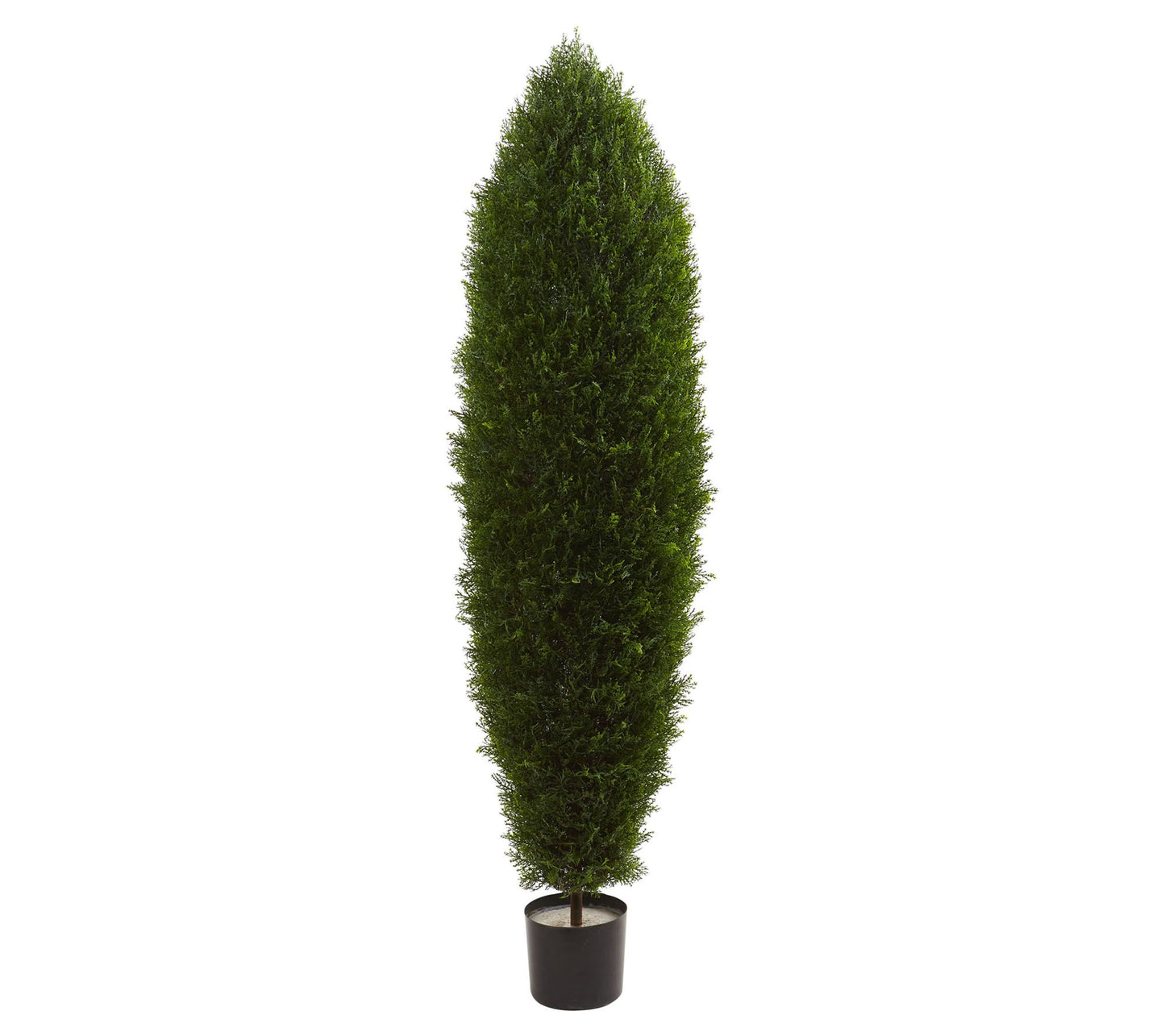 5' Cypress Tree by Nearly Natural