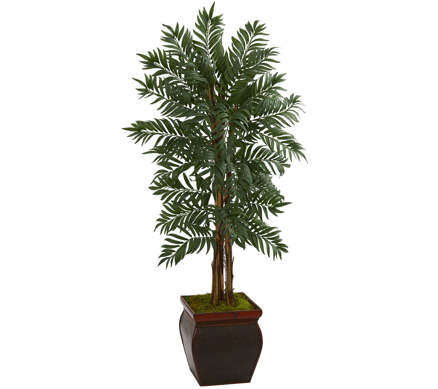 5' Parlor Palm Tree in Decorative Planter by Nearly Natural