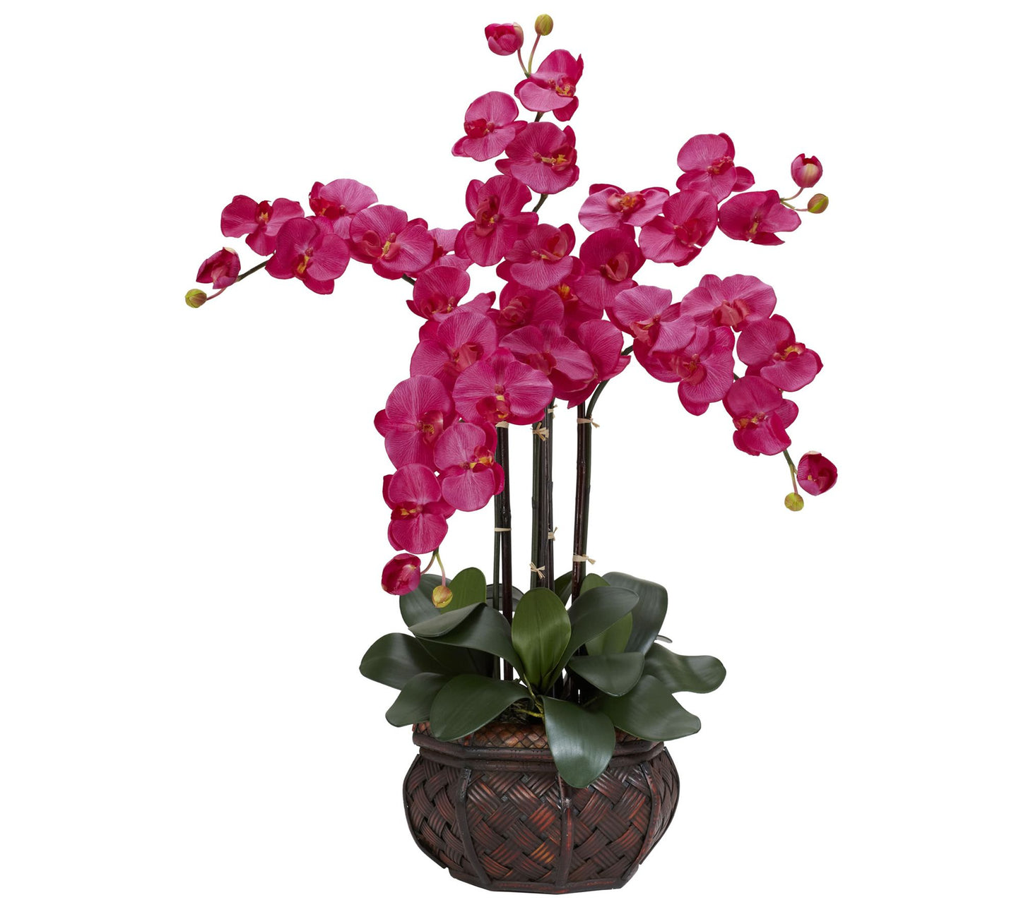Phalaenopsis Vase Silk Flower Arrangement by Nearly Natural