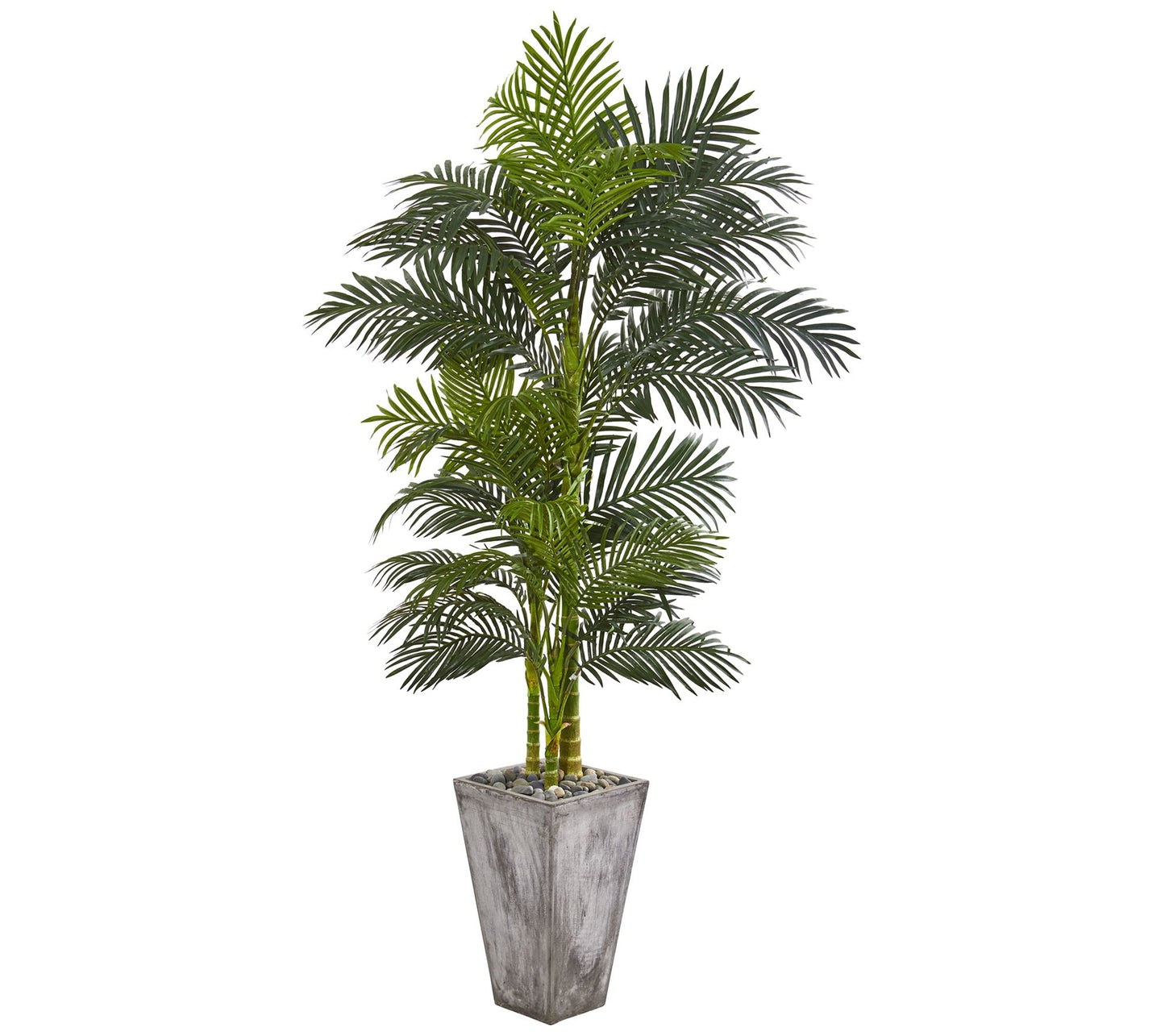 7' Golden Cane Palm in Cement Planter by NearlyNatural