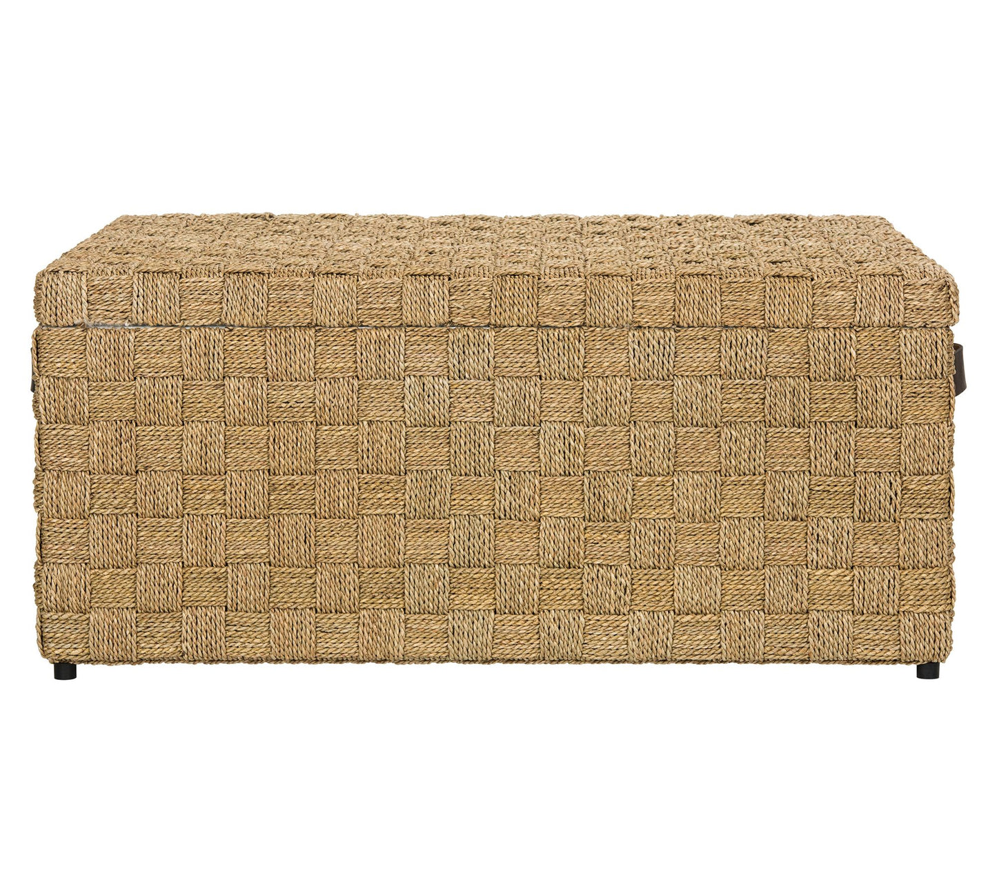 Safavieh Ashban Trunk