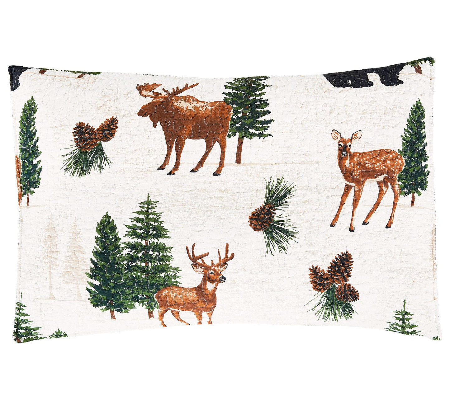 Noland Pines 2-Piece Cotton Twin Quilt Set by Valerie