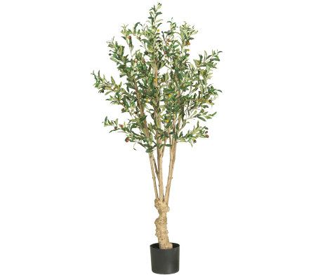 5' Olive Tree by Nearly Natural