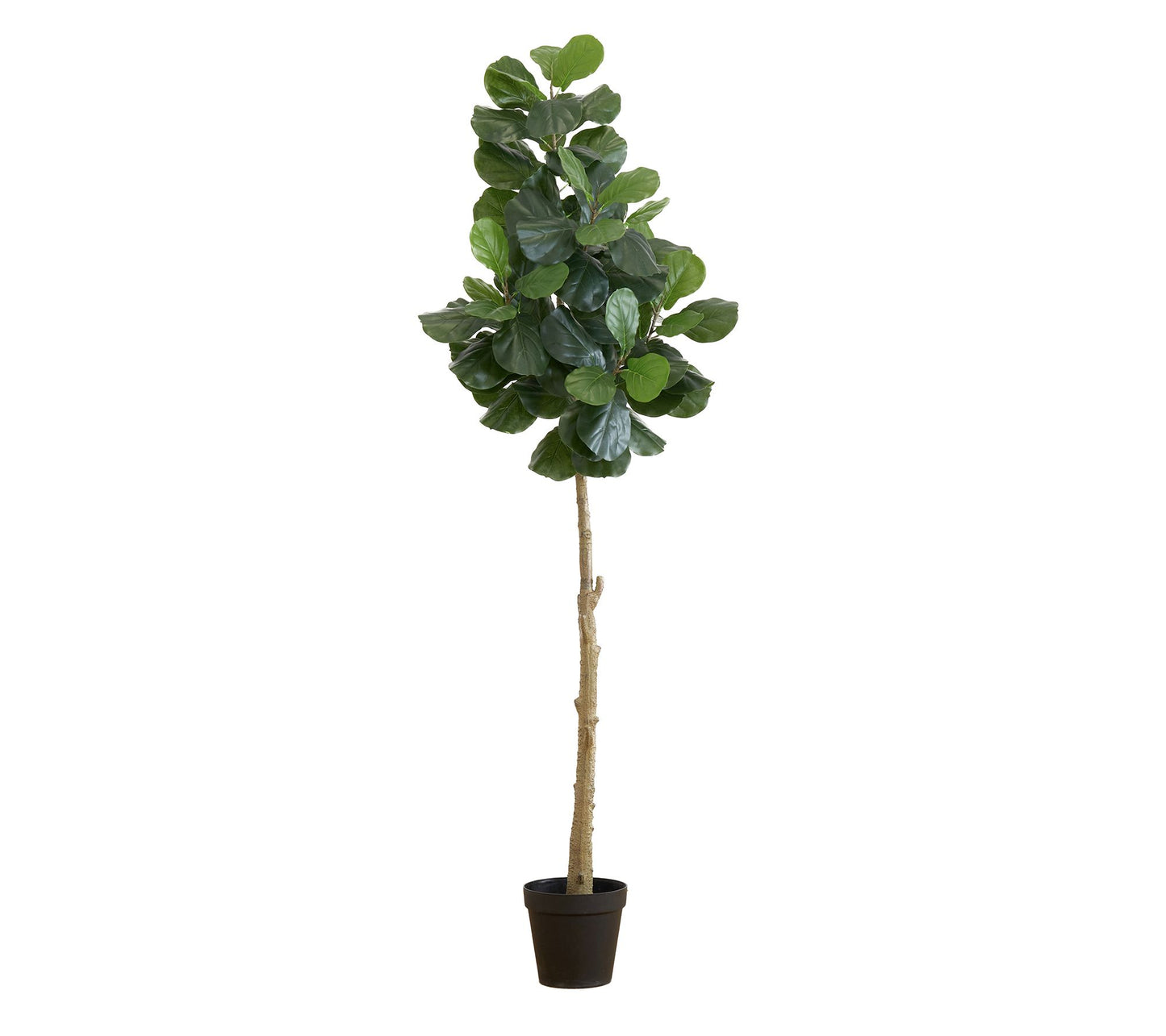 Nearly Natural 8-ft Artificial Fiddle Leaf FigTree