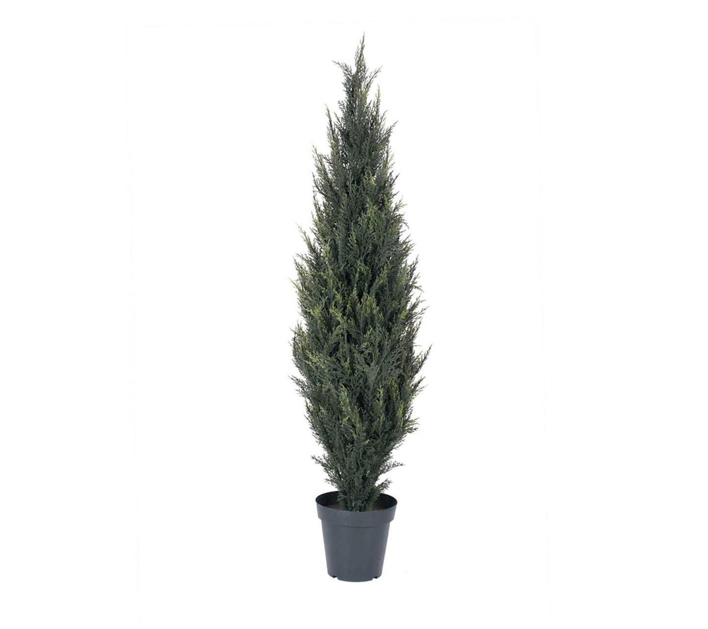 Vickerman 5' Pond Cypress Tree in Pot