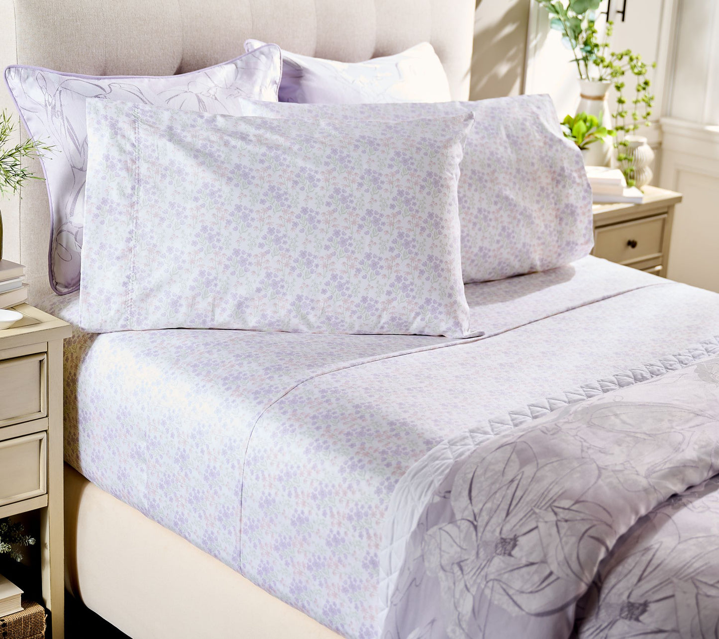 Northern Nights 400TC Pima Cotton Sheet Set- King