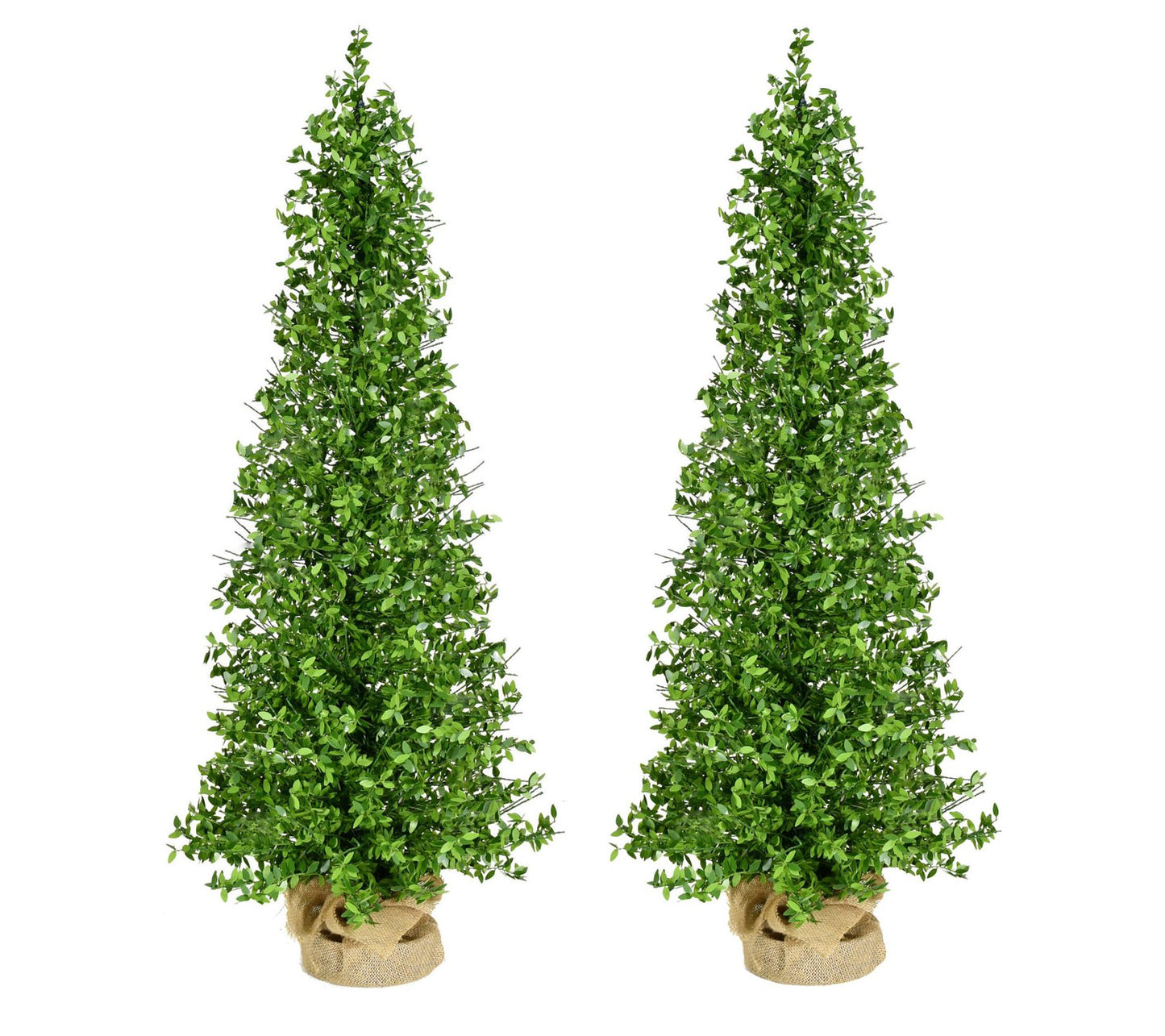Fraser Hill Farm 4-Ft. Boxwood Porch Tree in Burlap Set of 2