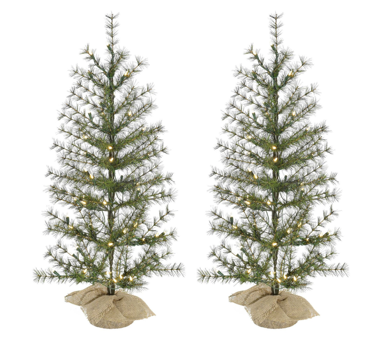 Fraser Hill Farm 3 ft. Farmhouse Fir ChristmasTree Set of 2