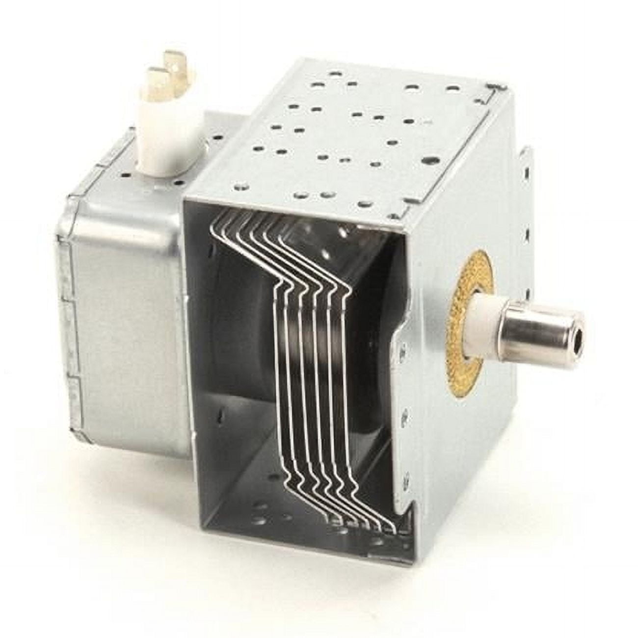 1000 watt Speedelight Magnetron
