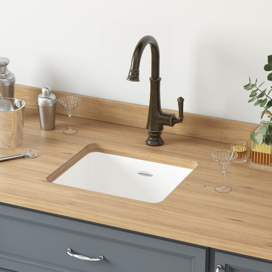 American Standard Delancey Undermount 16-in x 18-in Cast iron Single bowl Kitchen Sink