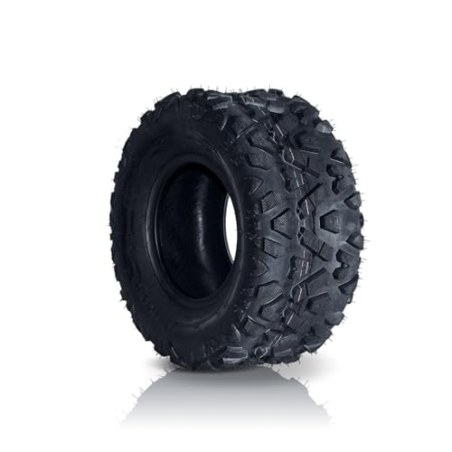 22x10-10 ATV UTV Sport Tires 4 Ply 22x10x10 All Terrain Tubeless Tires Set of 2