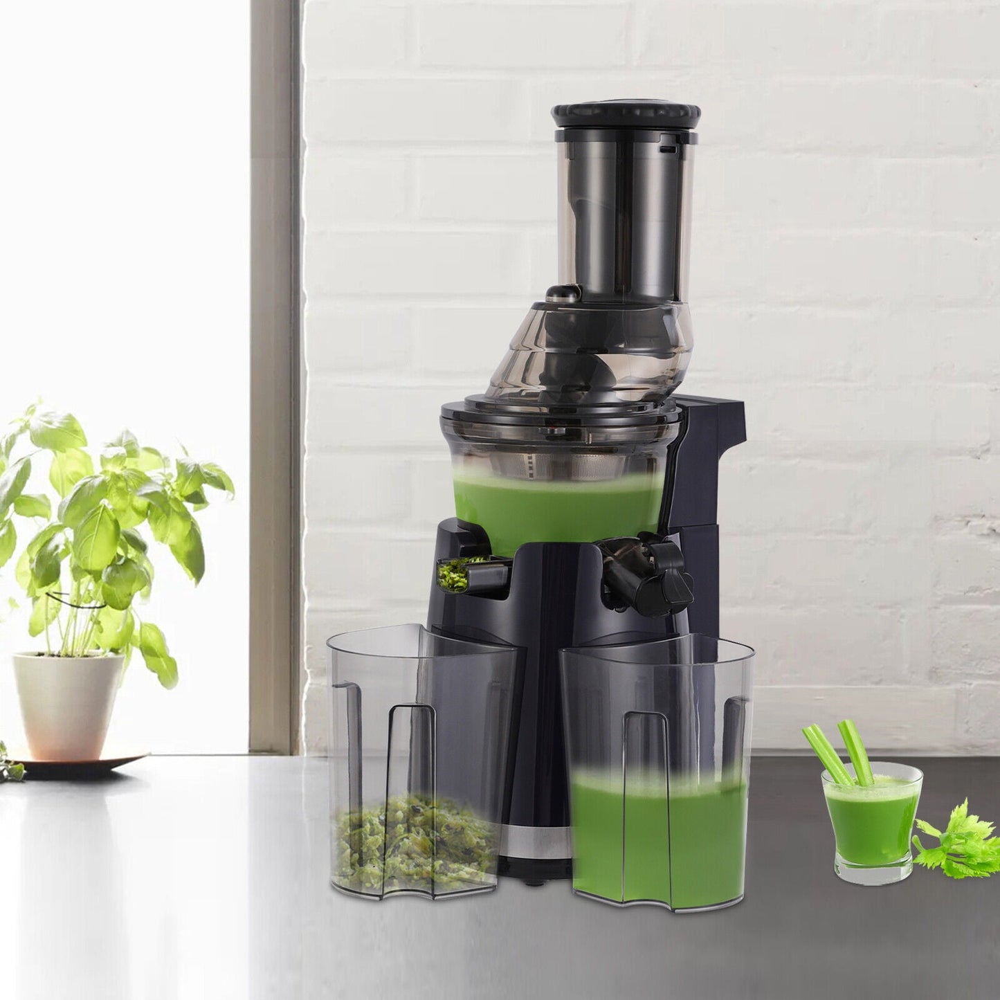 250W Professional Fruit Juicer, Slow Press Juicer with Dual Ports, High Purity Juice Extraction, Easy to Clean, Ideal for Home Use