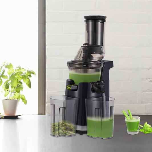 250W Professional Fruit Juicer, Slow Press Juicer with Dual Ports, High Purity Juice Extraction, Easy to Clean, Ideal for Home Use