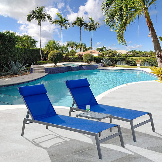 Damerin PatioÂ Chairs Set of 2 Blue Steel Frame Stationary Chaise lounge Chair with Blue Mesh Seat