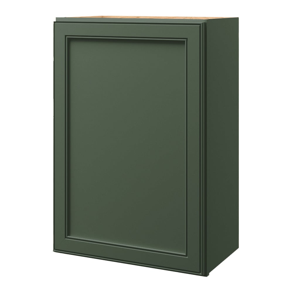 allen + roth Heathrow 21-in W x 30-in H x 12-in D Sage Wall Fully assembled Cabinet Recessed Panel