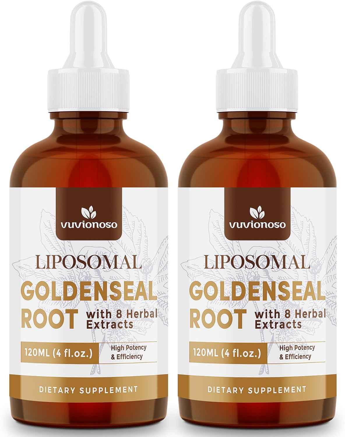 Vuvionoso Golden Seal Tincture 3000mg - Goldenseal Root for Immune Function & Lung Care - Sugar-Free, Vegan, Fast Absorbing - Echinacea & Goldenseal Liquid Extract, 120ml (Pack of 2)