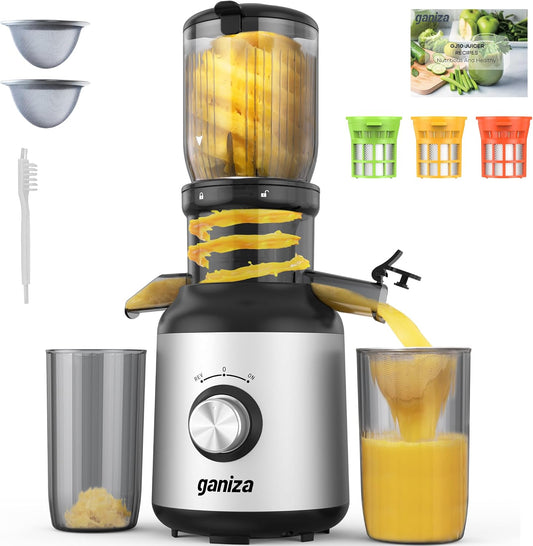 Ganiza Juicer Machines, Slow Masticating Juicers with Large Feed Chute for Whole Fruits & Vegetables, Cold Press Juicer with 3 Replace Filters for Batch Juicing, Easy to Clean, BPA Free(Silver)