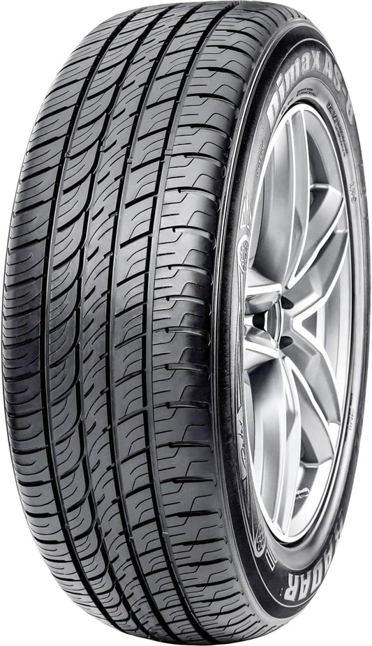 Radar Tires Dimax AS-8 Touring Radial Tire - 295/30ZR26 107W