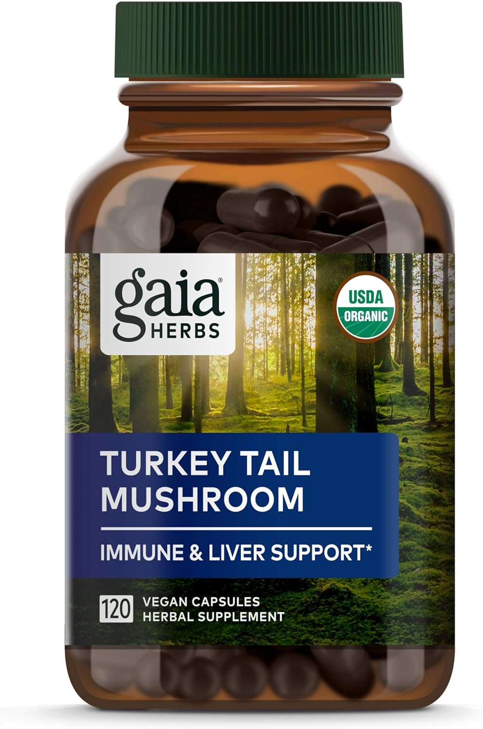 Gaia Herbs Turkey Tail Mushroom - Immune Support Supplement to Help Maintain Liver Health - with Organic Turkey Tail Mushroom Fruiting Body Extract - 120 Vegan Capsules