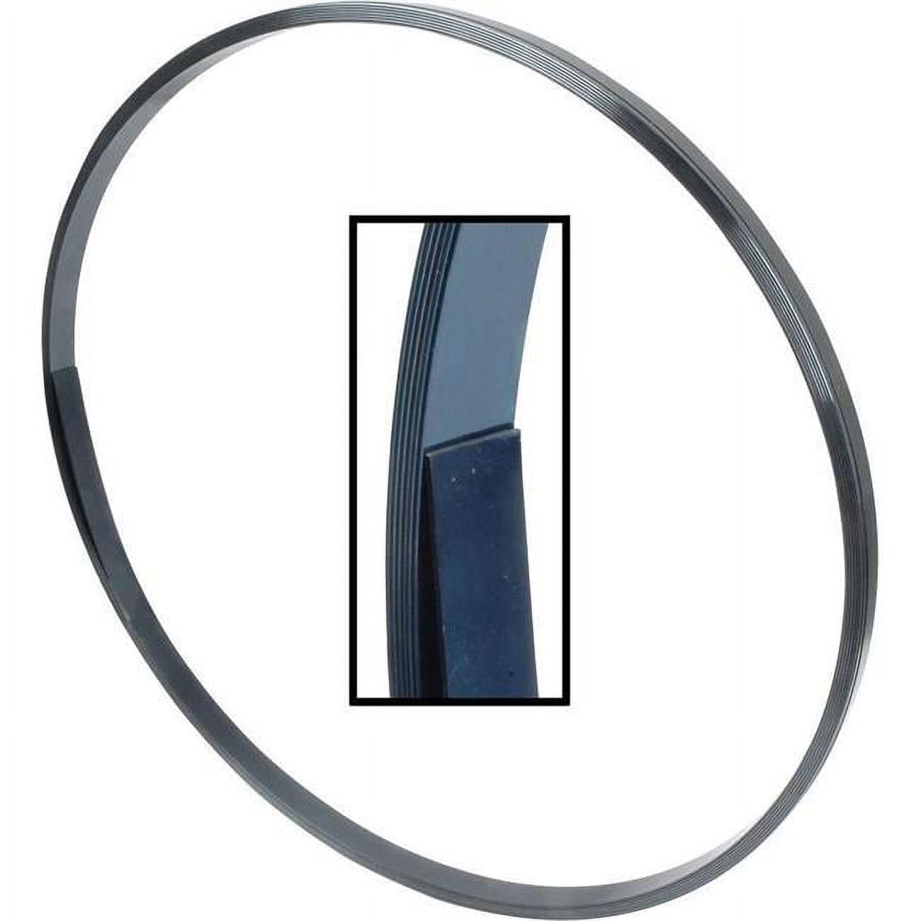 Allstar Performance ALL23110 40 ft. Spring Steel Body Strap
