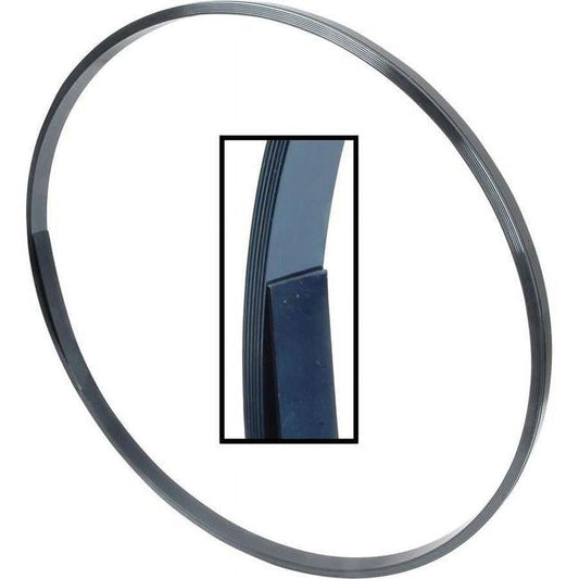 Allstar Performance ALL23110 40 ft. Spring Steel Body Strap