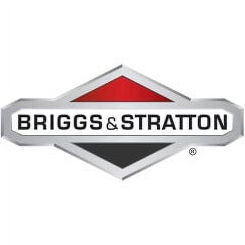 Briggs and Stratton 7101304YP Grass Bag