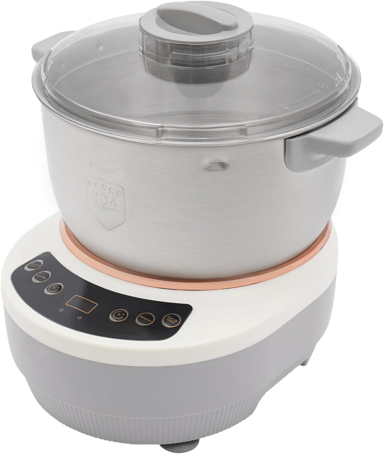 Electric Dough Maker with Ferment Function, 5.28Qt Dough Mixer Machine, Flour Kneading Machine for Pizza Bread, 304 Stainless Steel, 5L