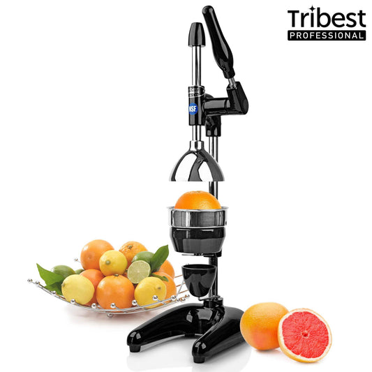Manual Juice Press