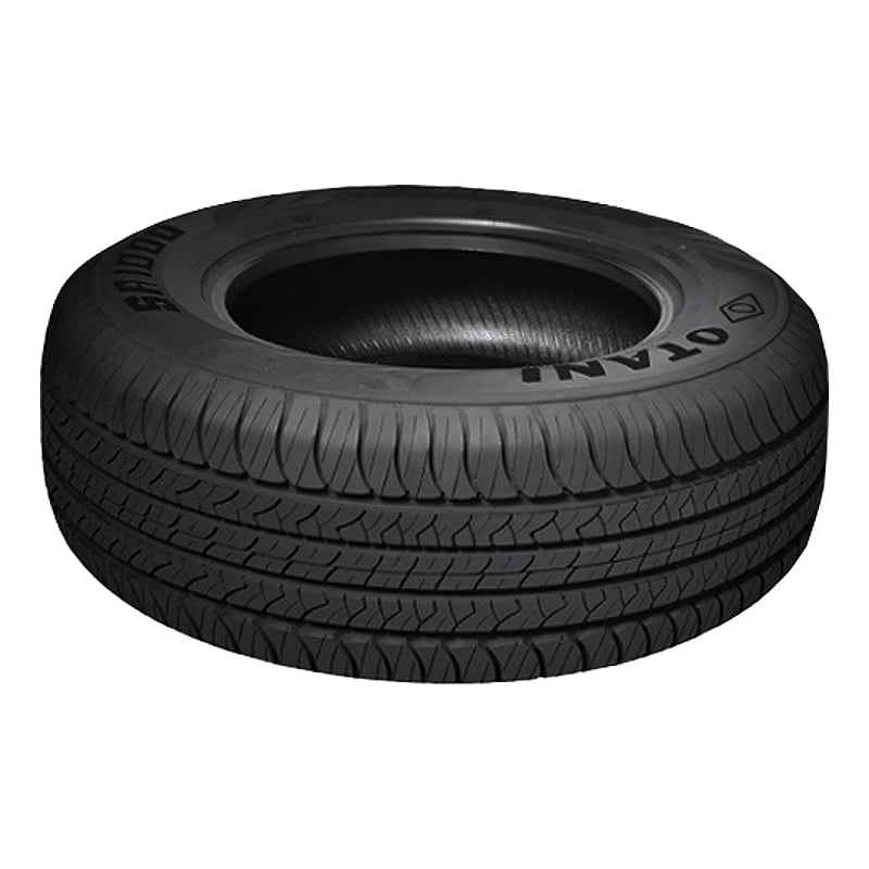 Otani Sa1000 225/65R17 102H Tire Fits: 2018-23 Chevrolet Equinox LT, 2015-17 Subaru Outback 3.6R Touring