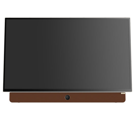 Skyworth Companion 24P100 Portable LED DisplayXw/ Google TV
