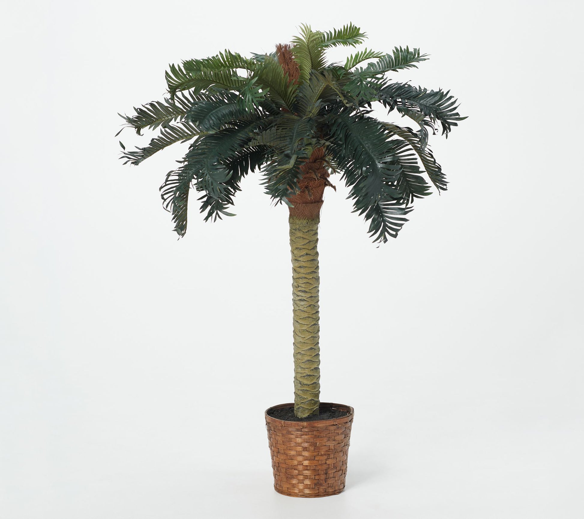 4' Sago Palm Tree by Nearly Natural