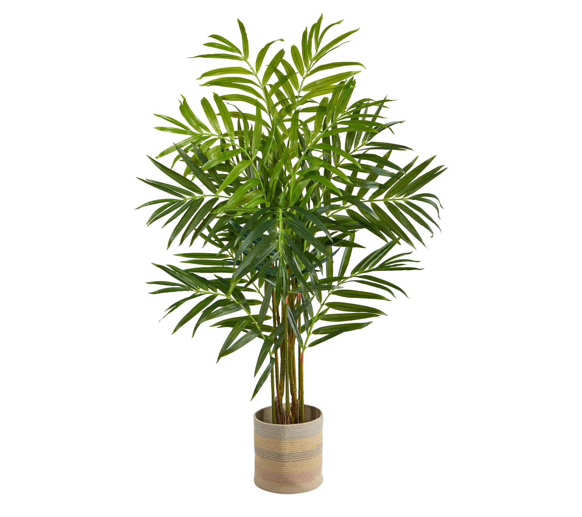 8' King Palm in Natural Cotton Multi Planter byNearly Natural