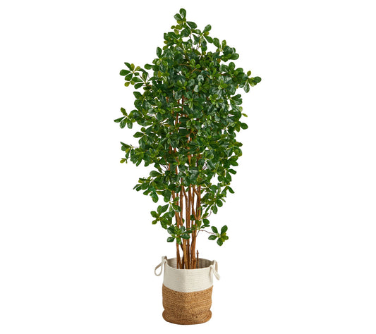 6' Black Olive in Natural Jute & Ctn Planter byNearly Natural