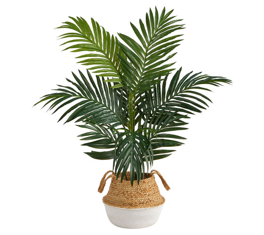 4' Kentia Palm in Woven Planter by Nearly Natural
