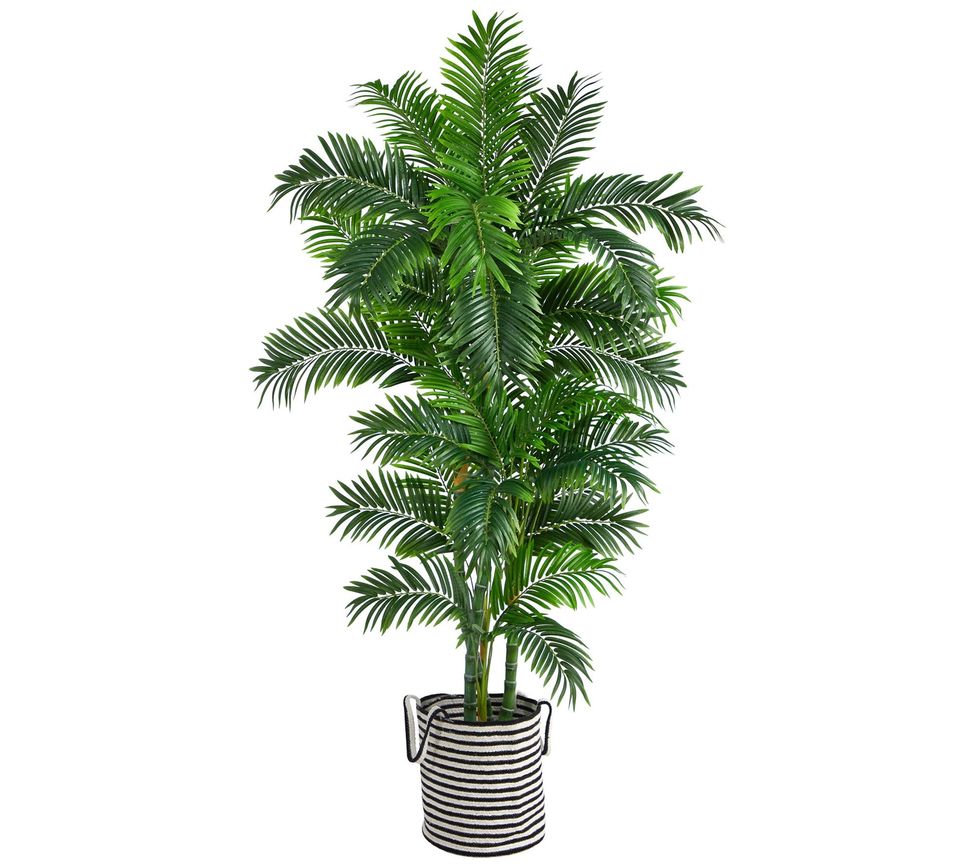 6' Curvy Parlor Palm Tree in Planter by NearlyNatural