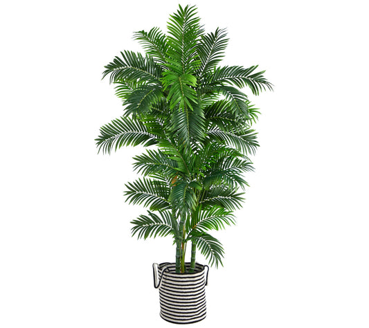 6' Curvy Parlor Palm Tree in Planter by NearlyNatural