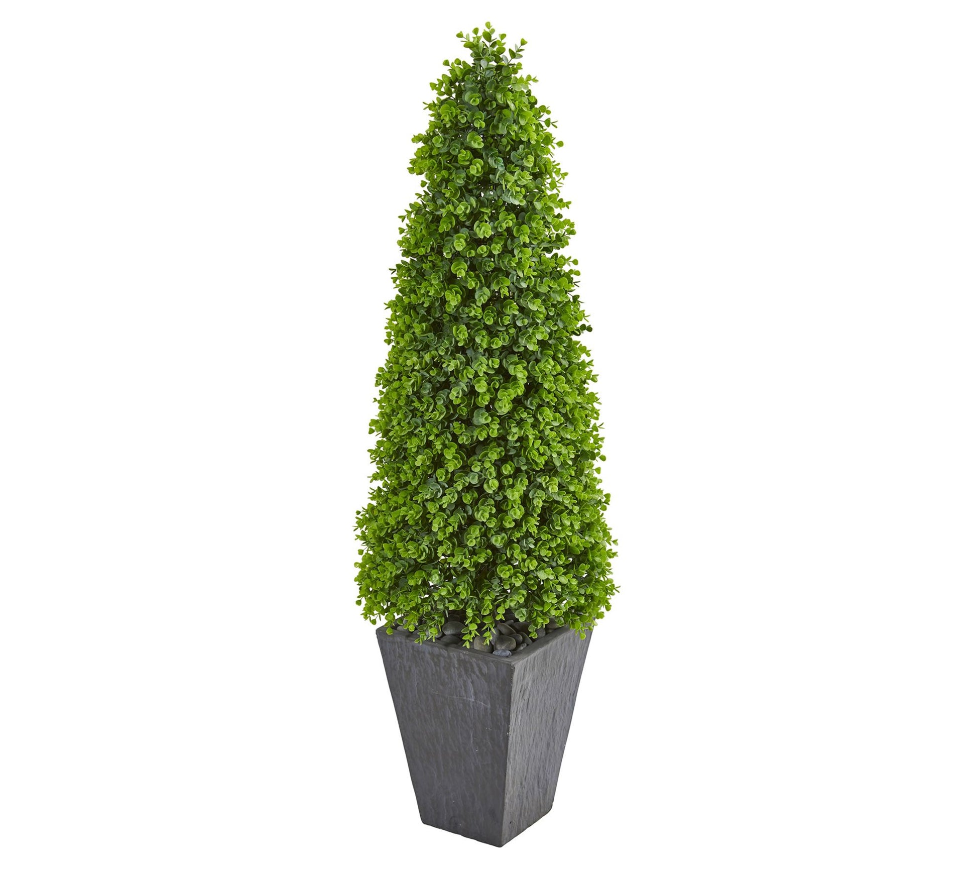 57in.  Eucalyptus Topiary in Slate Planter (Indoor/Outdoor)