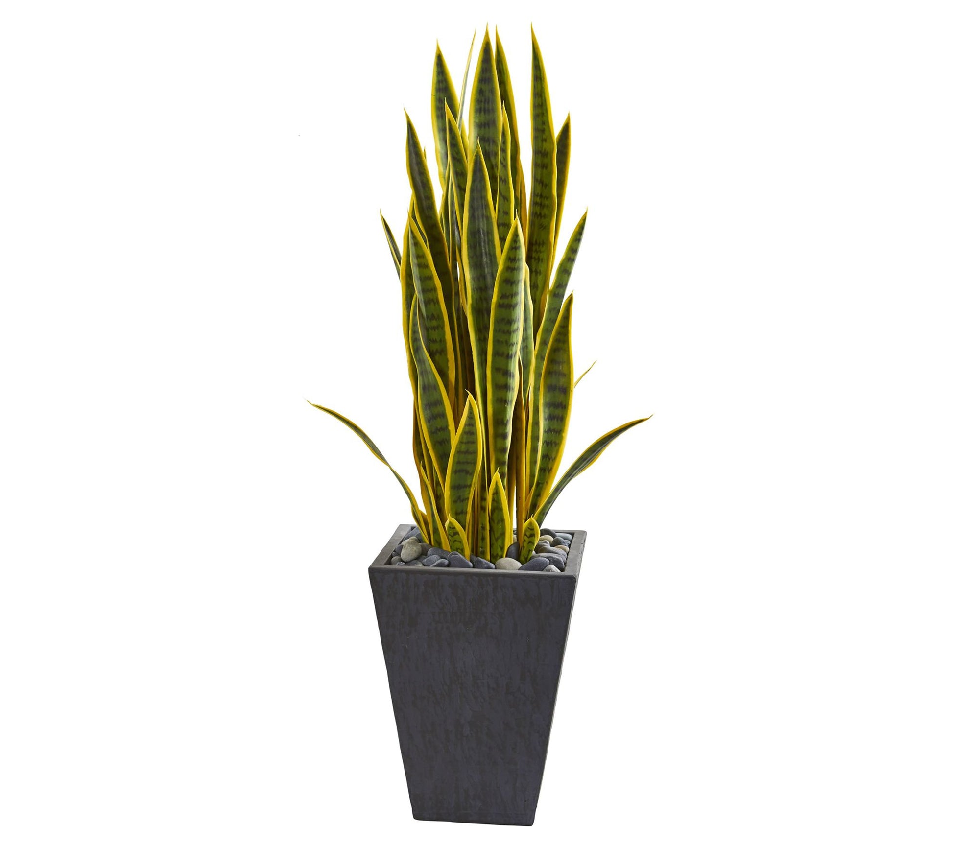 3.5' Sansevieria Artificial Plant in Slate Planter
