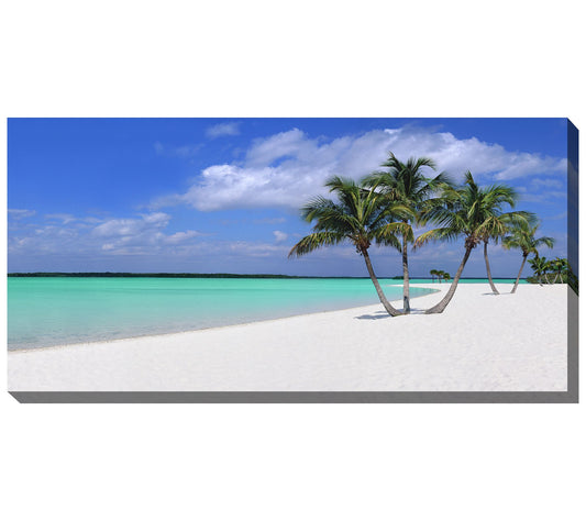 West of the Wind Outdoor Canvas Art Sugar Sand 48" x 24"