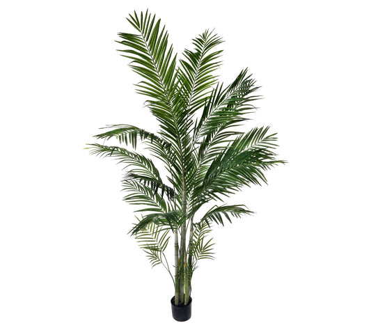 7' Potted Areca Palm by Valerie