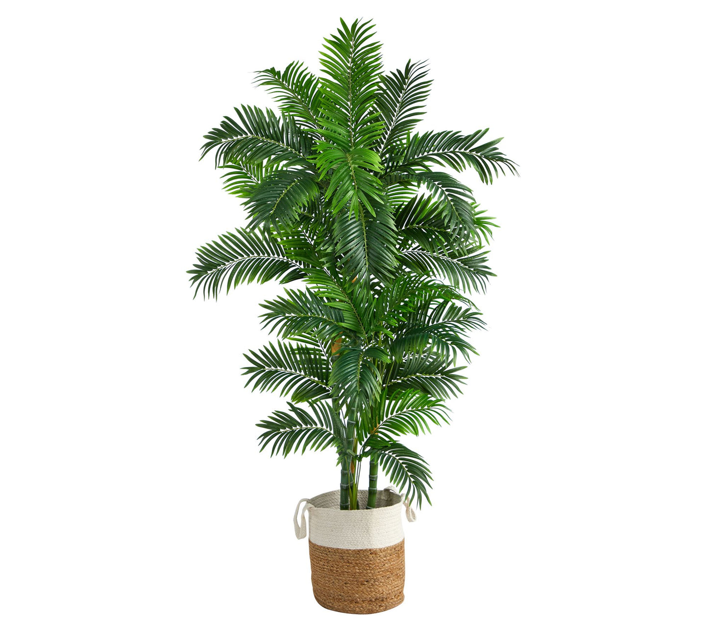 Nearly Natural 6' Curvy Parlor Artificial Palm in Planter