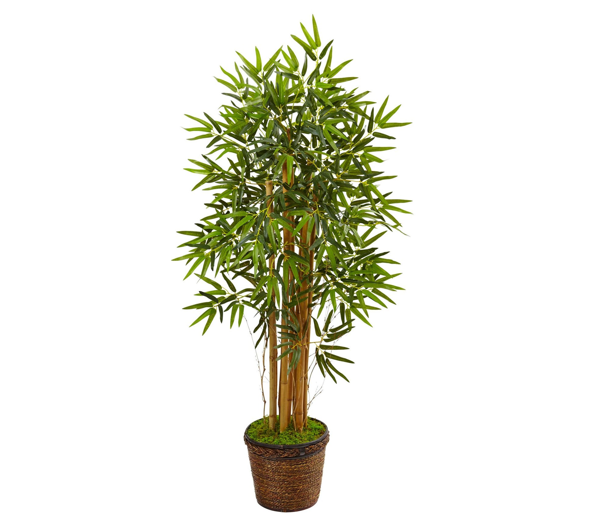 Nearly Natural 4.5' Bamboo Tree in Coiled Rope Planter